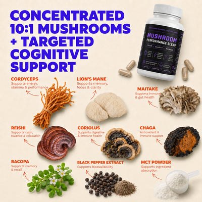 Mushroom Performance Blend - Focus, Drive & Recovery