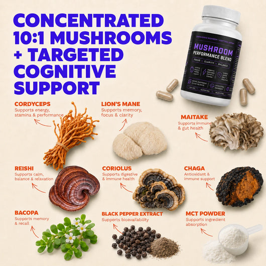 Mushroom Performance Blend - Focus, Drive & Recovery